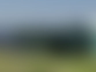 Minerva anunció la compra de BPU tras luz verde de Competencia