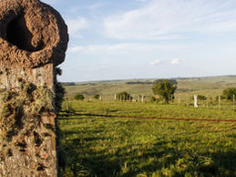 Federación Rural advierte por creciente inseguridad en el medio rural y exige medidas urgentes