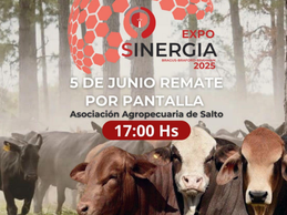 Hoy hay remate especial en el marco de Expo Sinergia