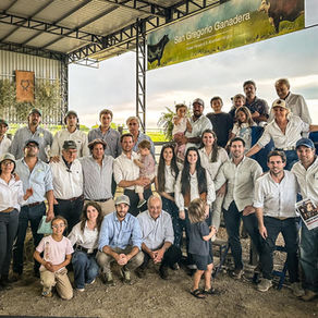 San Gregorio Ganadera colocó el 100% de su oferta con muy buenos promedios