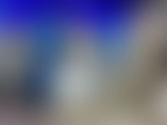 Pantalla Uruguay: más del 95% de colocación, mercado ágil y promedio de US$ 4,10 para los terneros