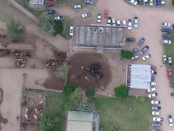 Doña Adela remata sus toros este martes