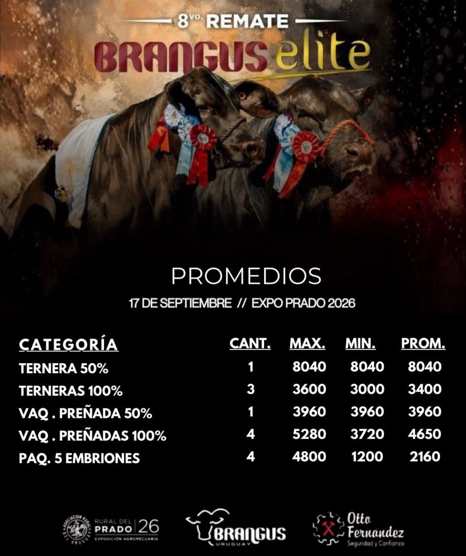 Brangus Elite concretó su 8º remate en Expo Prado con una venta ágil y buenos valores