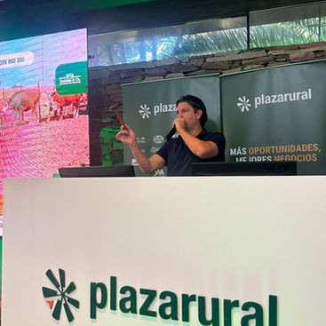 Rematazo de Plaza Rural marcando estabilidad para el mercado