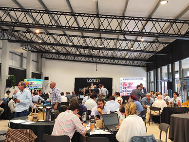 Mercado ágil, precio histórico y alta colocación en Lote 21