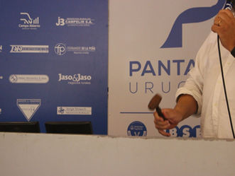 Este viernes desde las 8 horas remata Pantalla Uruguay