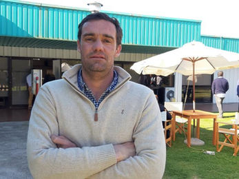 Escritorio Araujo trae buenos ganados del norte a Pantalla Uruguay