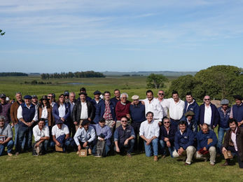 Berachí vendió sus Brangus y Braford a US$ 3.531