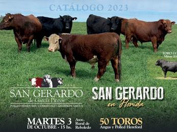 San Gerardo remata en Florida este martes