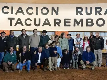 Mañana venden Los Toros de San Juan y Santander