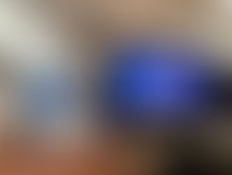 Pantalla Uruguay celebra sus 25 años con una oferta de más de 12.500 animales en el remate 320