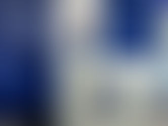 Firmeza en vientres en el segundo día del Remate 308 de Pantalla Uruguay