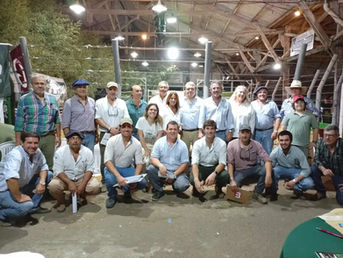 Don Roberto colocó el 100% de sus toros a US$ 6.602 de promedio