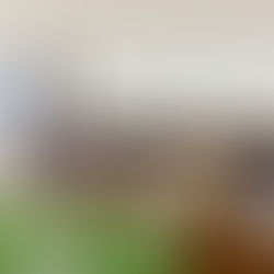 Uruguay celebró el primer Día Nacional del Fitomejoramiento