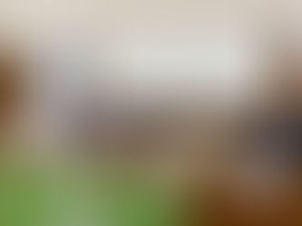 Uruguay celebró el primer Día Nacional del Fitomejoramiento