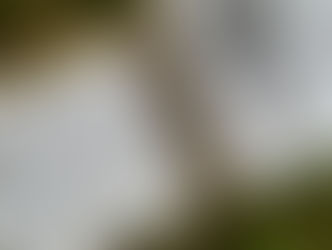 Plan Agropecuario propone medir el pasto para tomar mejores decisiones