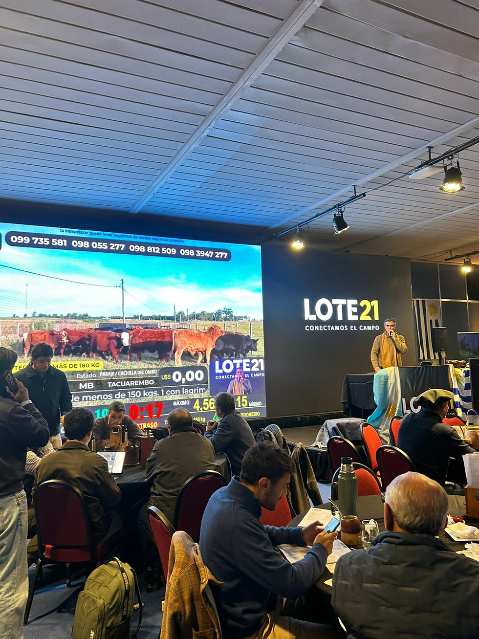 Lote 21 colocó el 98,2% en su Remate 248 realizado en el marco de la Expo Angus Indoor