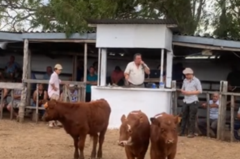 Milton Franco remata este sábado en Casupá