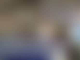 Esta semana salen a la venta los Toros Para el Norte, de Santa Clotilde