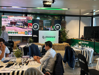 Plaza Rural vendió más de 9 mil vacunos en su primer día