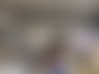 Lote 21 concretó un remate exitoso