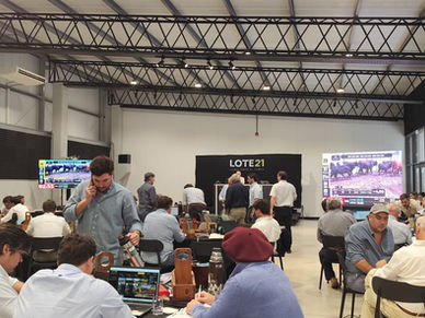 Lote 21 concretó un remate exitoso