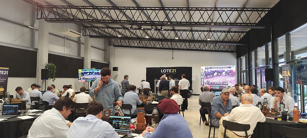 Lote 21 concretó un remate exitoso