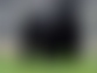 Los “Angus de Pura Cepa” de Capela se rematan este martes en formato virtual