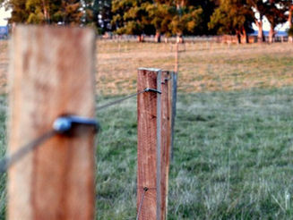 Precio promedio por compraventa de campos estuvo en US$ 3.910