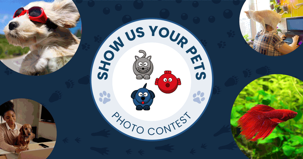 showusyourpet22nologo_1200x630.gif