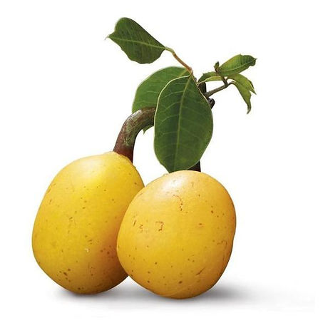 Strebor Organics