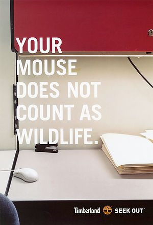 image-asset (6).jpeg