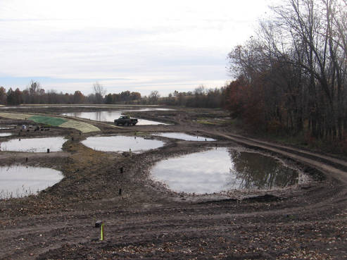 Restored wetland pools shortly after earthwork