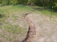 Small stream restoration