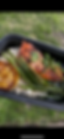 IMG_3867.PNG