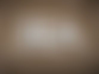 Qu'est ce que le SEA