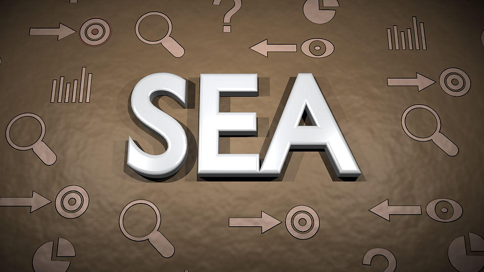 Qu'est ce que le SEA