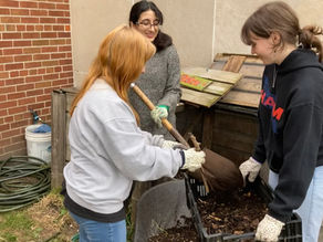 Another amazing fall with Urban Roots Youth