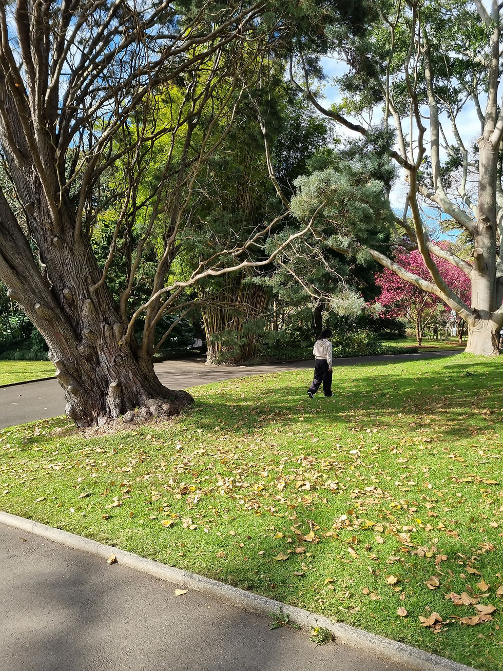The 'Recording in the Wild' workshop allowed students time to roam the Botanic Gardens in search of field recordings.