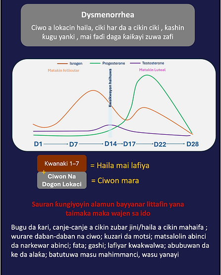 dysmen info.png