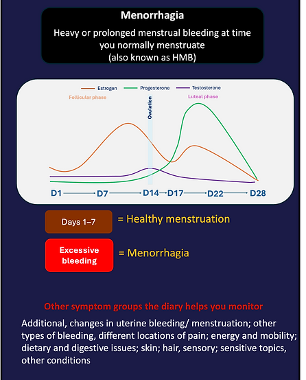 meno info.png