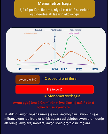 menomet info.png