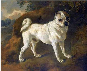 a-pug-by-thomas-gainsborough-1780.jpeg