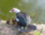 P1020439.JPG
