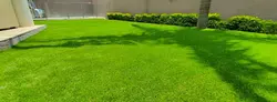 grama4
