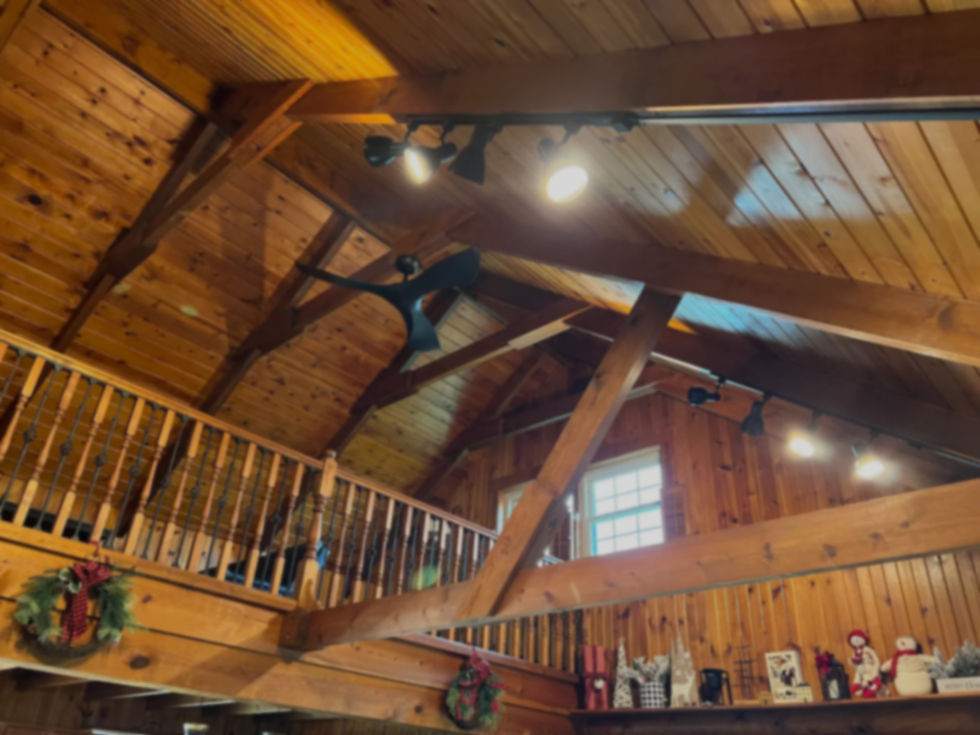 Big Cabin Ceiling with Dark + Blur.jpg