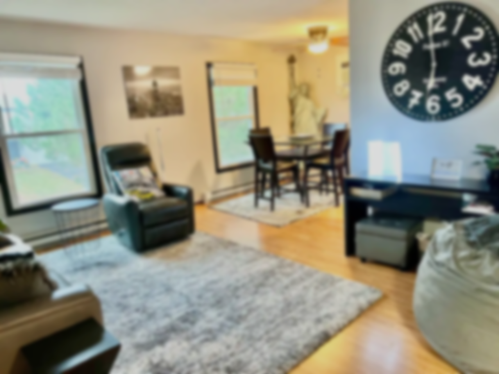 BLUR NY Condo 1.png