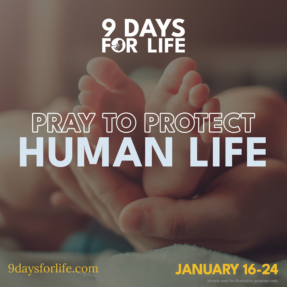 Join Catholics across the country praying for the protection of human life, Jan. 16-24