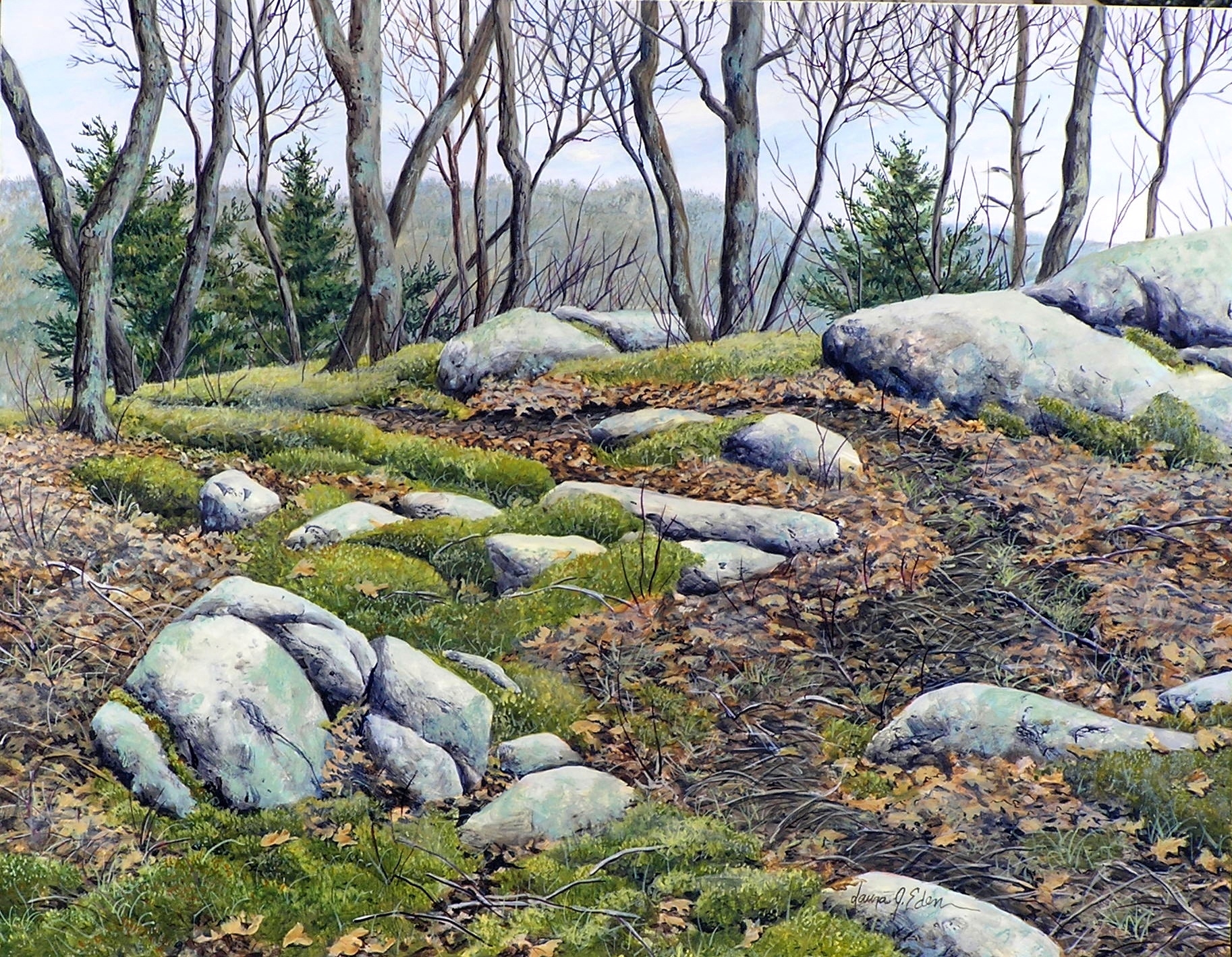 Summit Trail