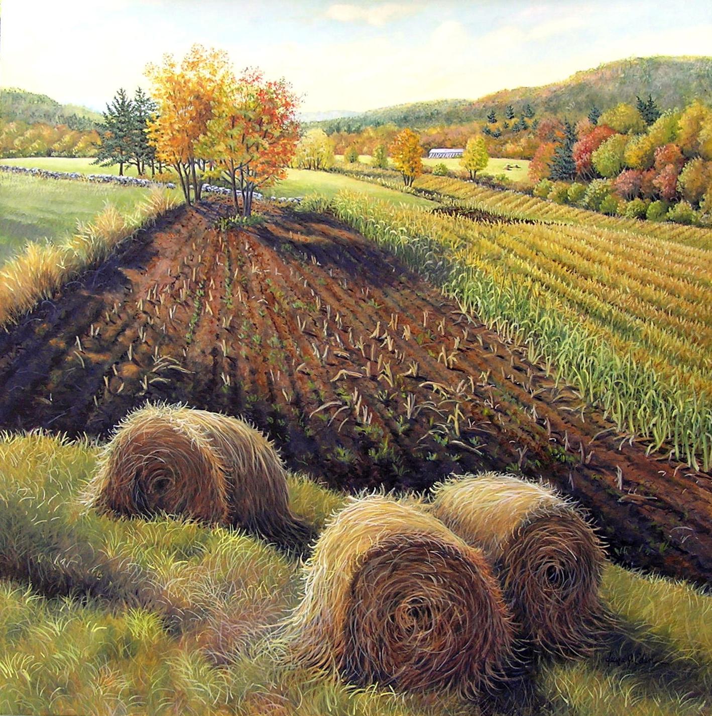 Pastoral Farm Field